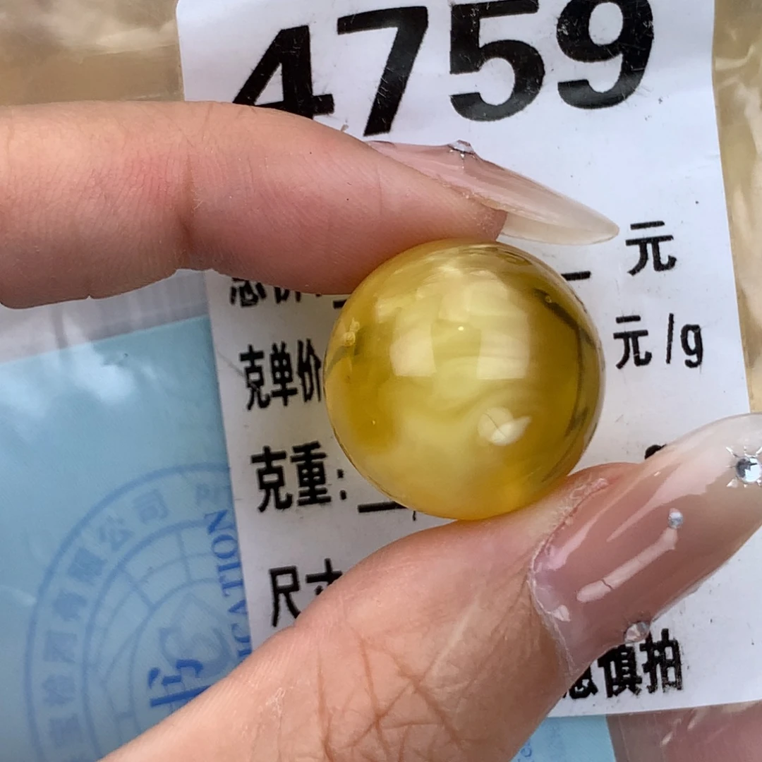 蜜蜡未镶嵌珠宝奇石19.5 植物