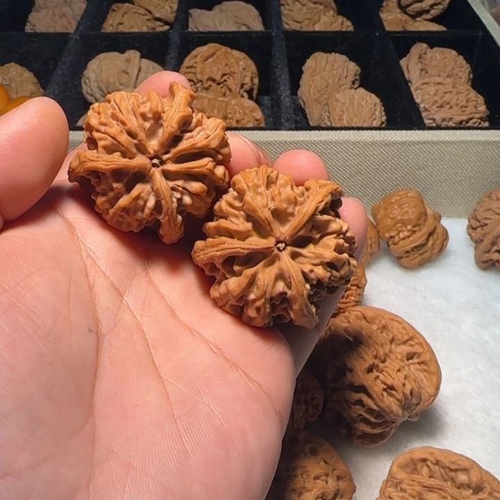 小***亮文玩核桃把件牡丹花王三棱