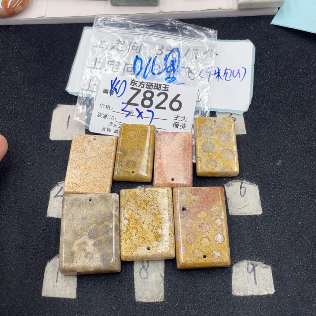 硅化珊瑚（珊瑚玉）未镶嵌颈饰叽****轰