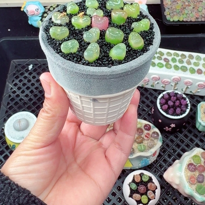 819零下地区记得拍保温箱满18包邮