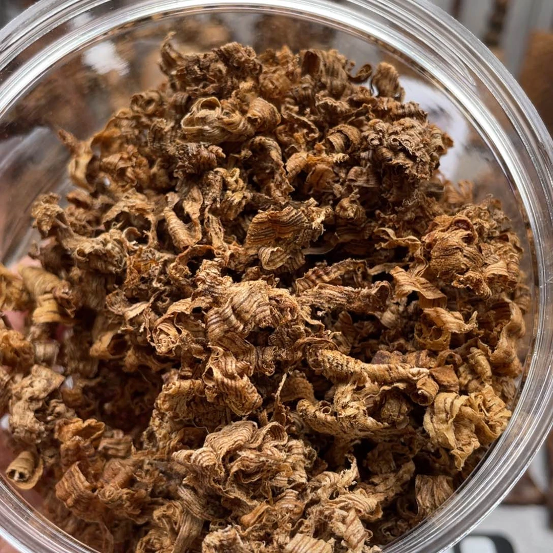 沉香碎屑沉香都彭九分勾丝2克