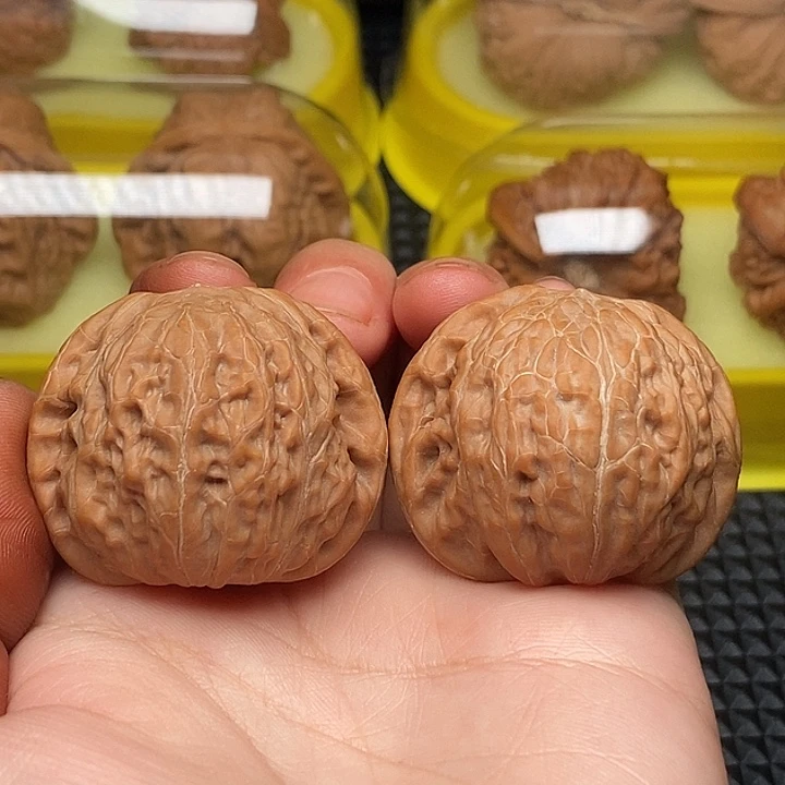40全品铁锤