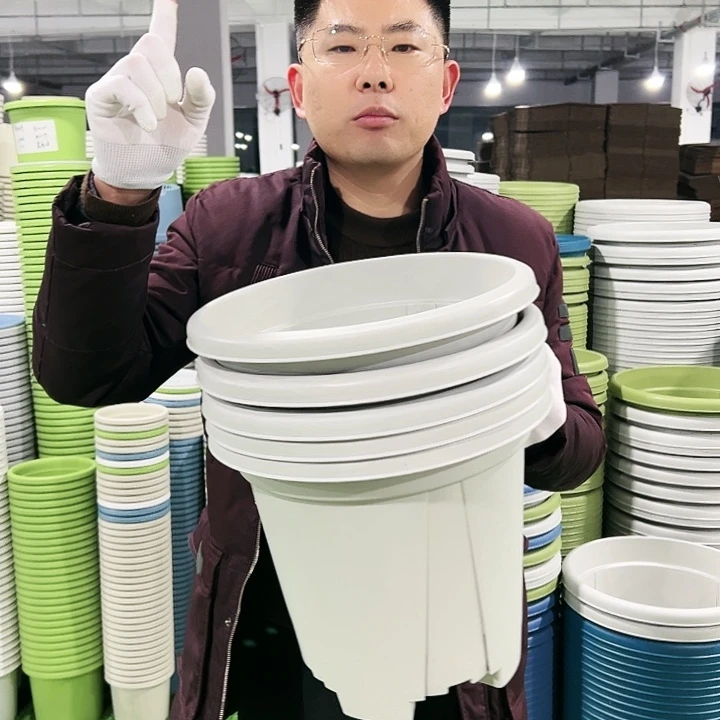 清仓青山口32高28灰白色5只无托