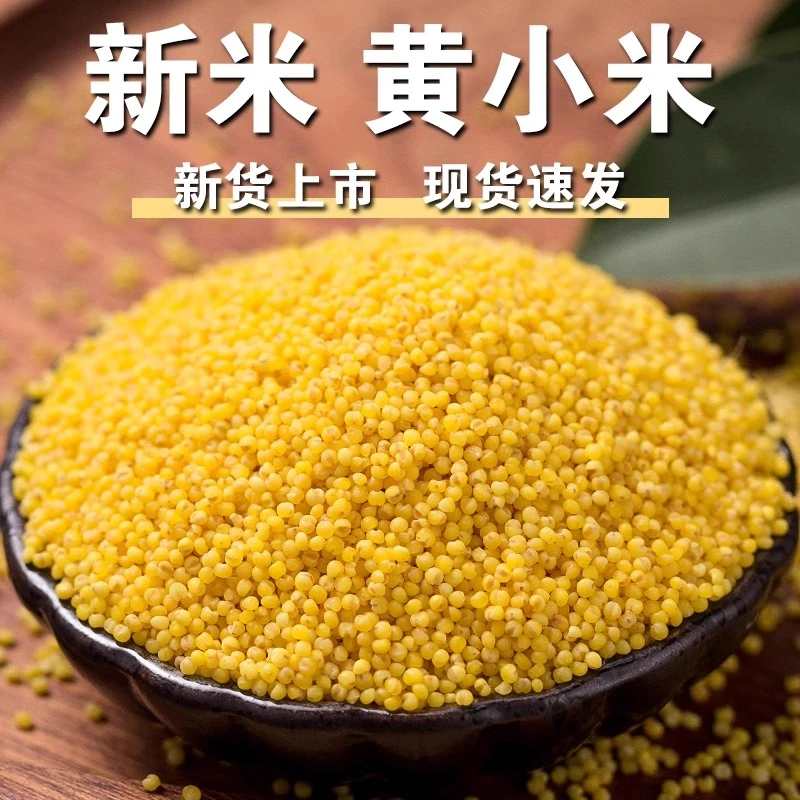 寻鲜君山西特产黄小米新米新鲜正宗小米农家小黄米食用杂粮米5斤