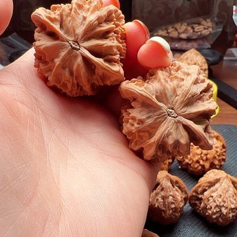 文玩核桃吊坠陕西秦岭龙鳞官帽45