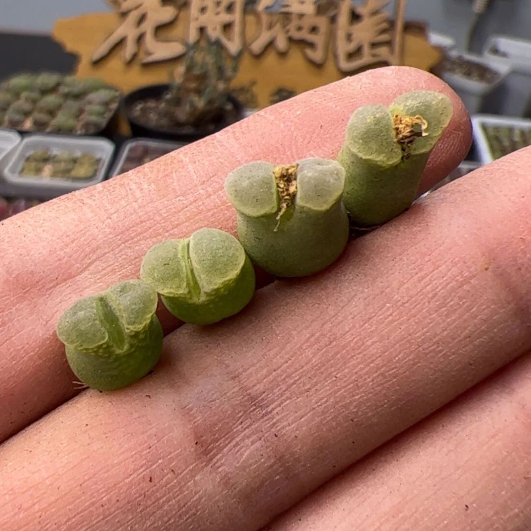 【闪购商品】000000010奶瓶