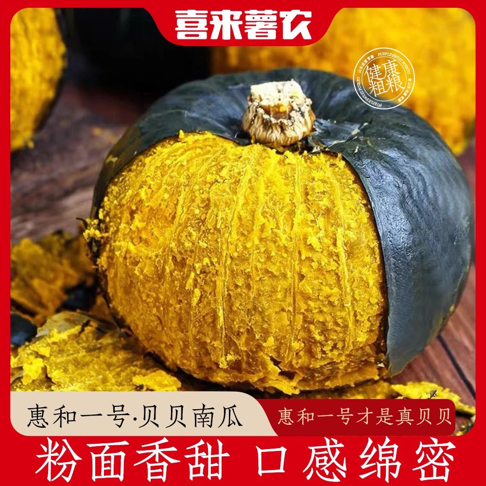 （惠和一号--已糖化）贝贝南瓜老瓜板栗粉糯香甜新鲜