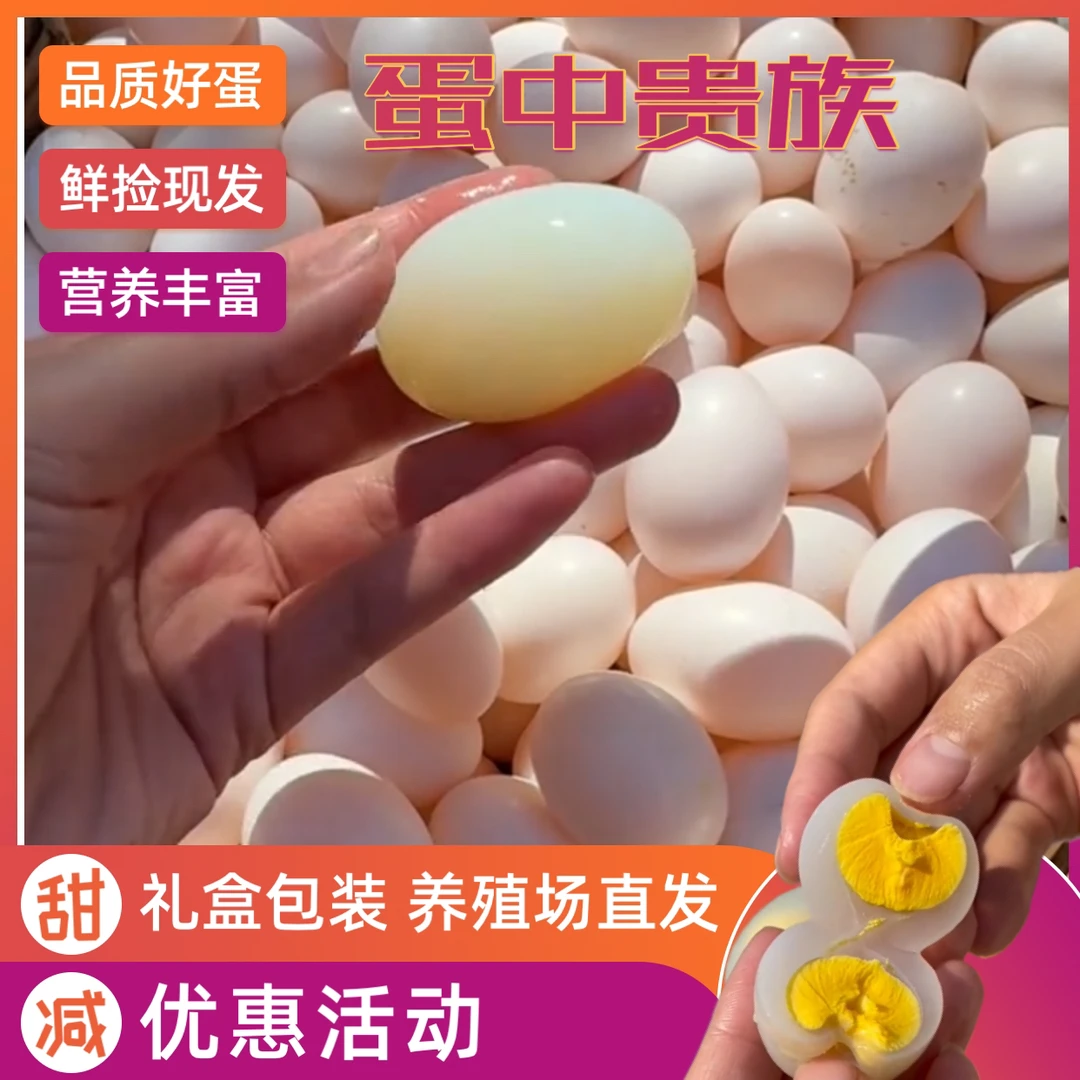 蛋乡人正宗鸽子蛋杂粮喂养殖场直发鸽蛋农家散养鸽子笼宝宝孕妇