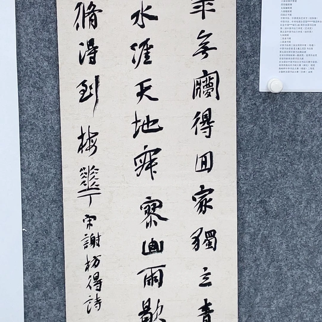 书法半醒斋书法作品