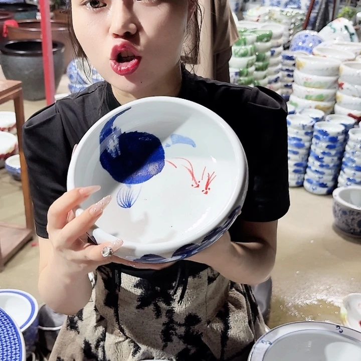 瓷片口径20厘米 高度6厘米