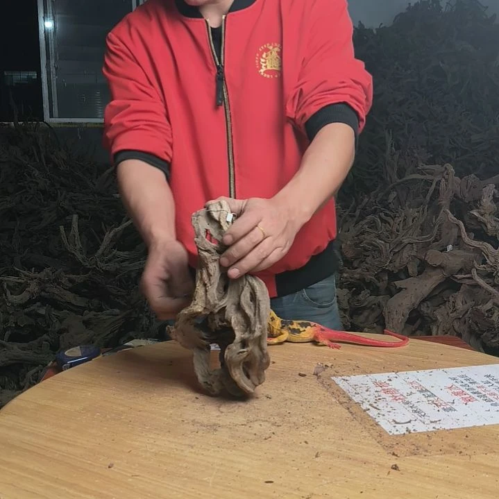 木鱼缸造景水库杜鹃根6