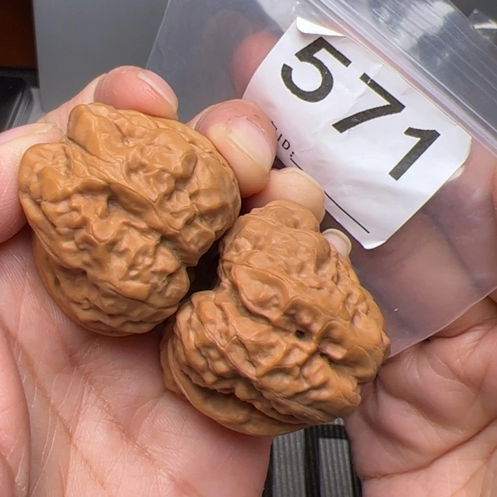 核桃边38肚42尺571号