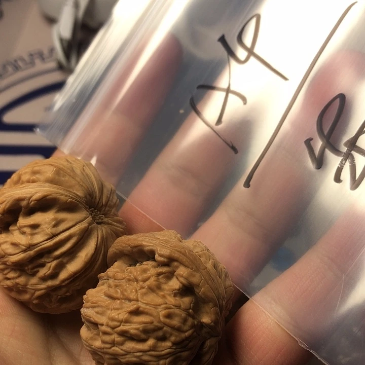 文玩核桃吊坠1111