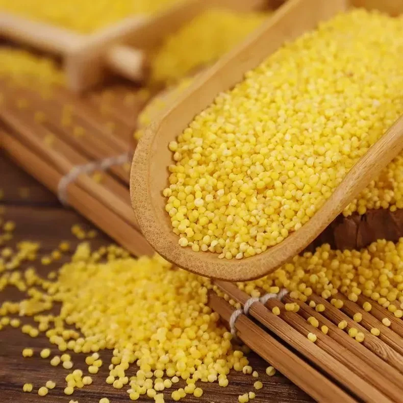 山东黄河滩现磨2025年新黄小米优质五谷杂粮月子米熬粥佳品