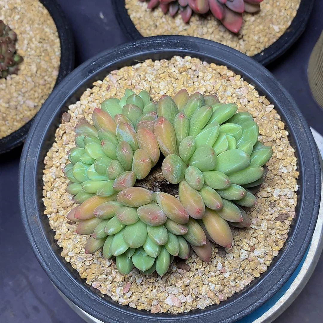 哈哈哈哈哈哈哈哈