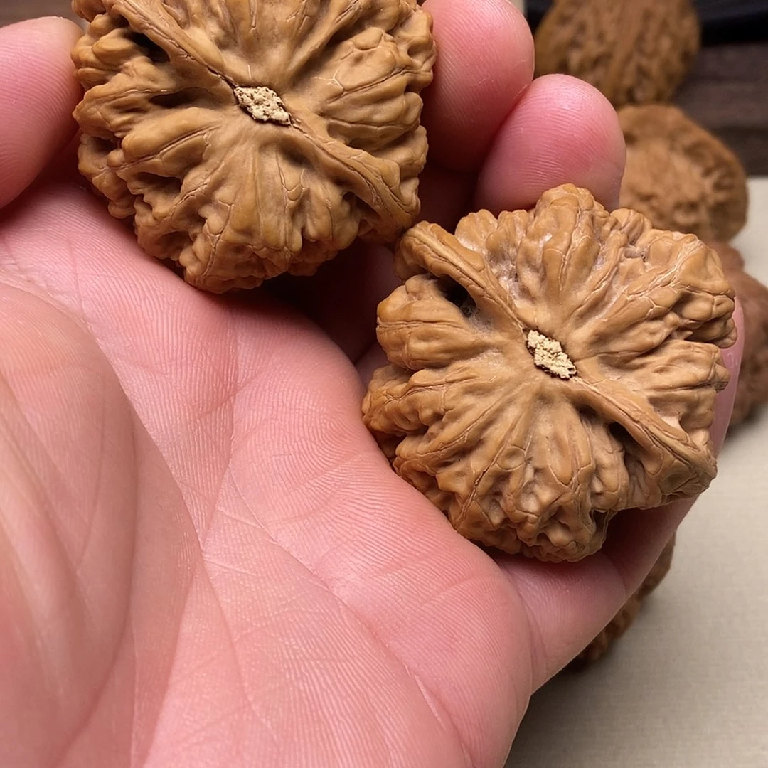 以***马把件文玩核桃大粗筋