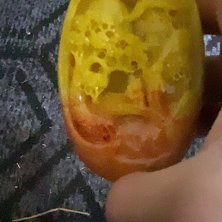 玉玉章1111111111111