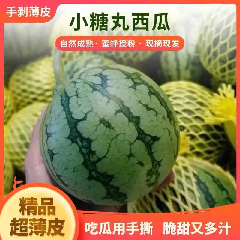[京东快递]小糖丸手撕冰糖西瓜薄皮超甜2k脆甜多汁新鲜采摘