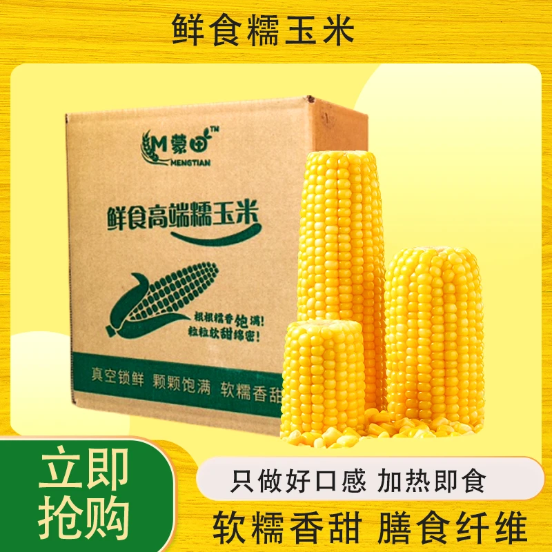 蒙漠优品 黄田糯玉米巨惠尝鲜装 颗粒饱满 软糯清甜