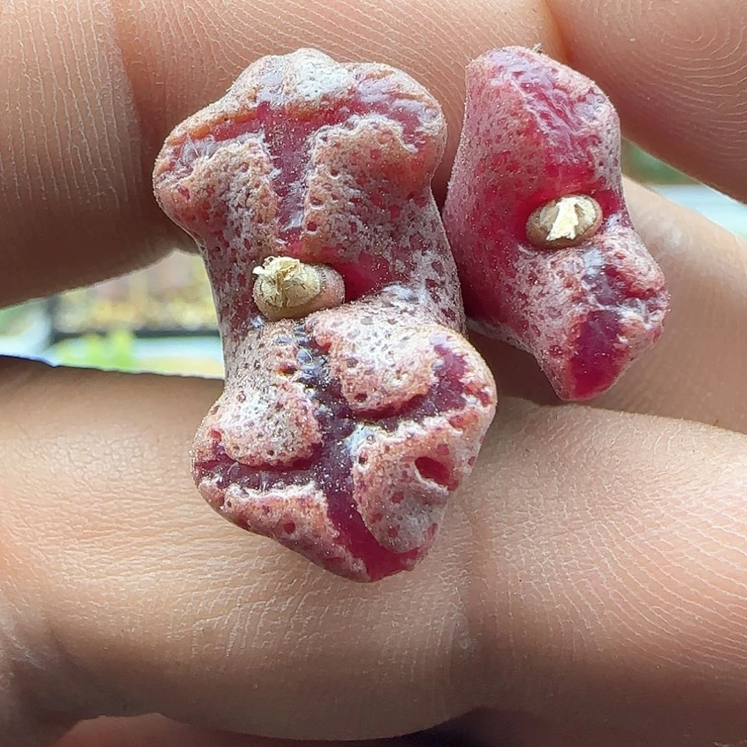 脱土年后发货23624