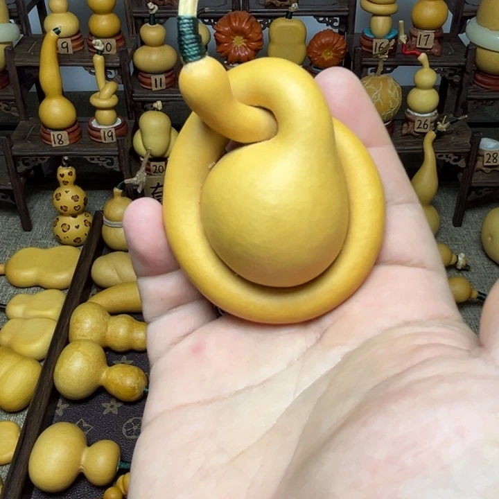 Y***地球仪，大厚皮，好玩的