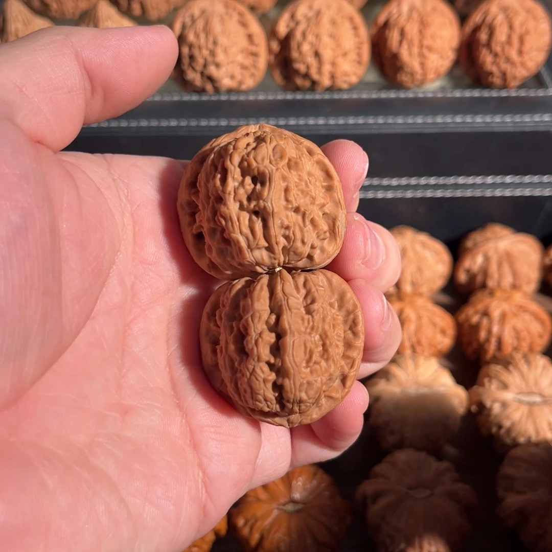 手串/手链核桃你***师37全品老白狮子