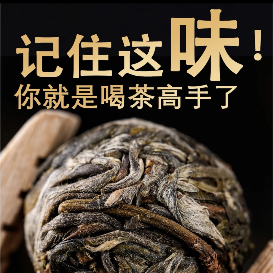 【森林高杆薄荷塘龙珠】23年春 清凉感十足!支持试喝 普洱生茶