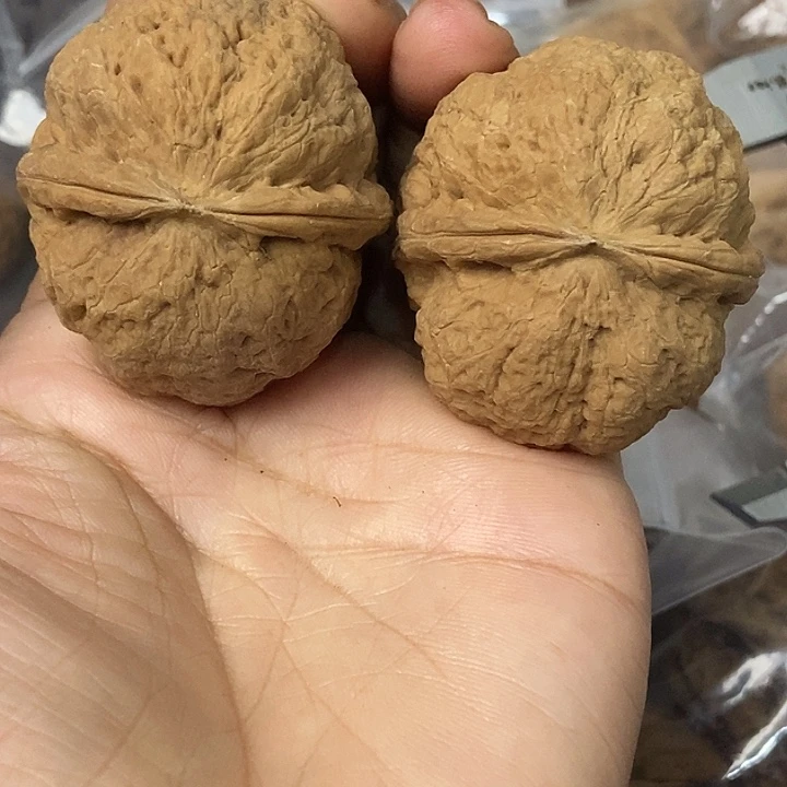 文玩核桃把件云南铁核桃基地42