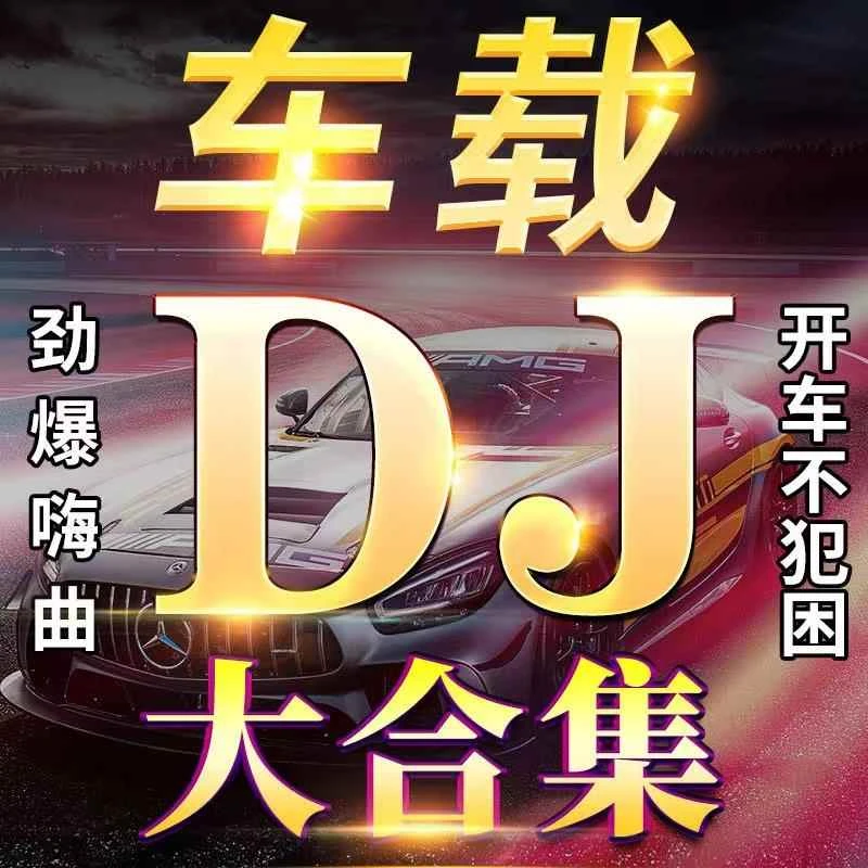 2024抖音全网流行劲爆DJ舞曲嗨歌高品质车载优盘无损音质MP3/MP4
