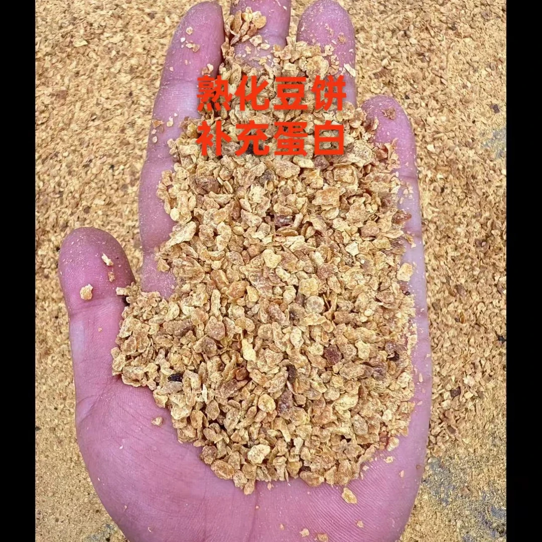 熟化豆饼补充蛋白适合鸡鸭鹅猪牛羊驴马鹿等