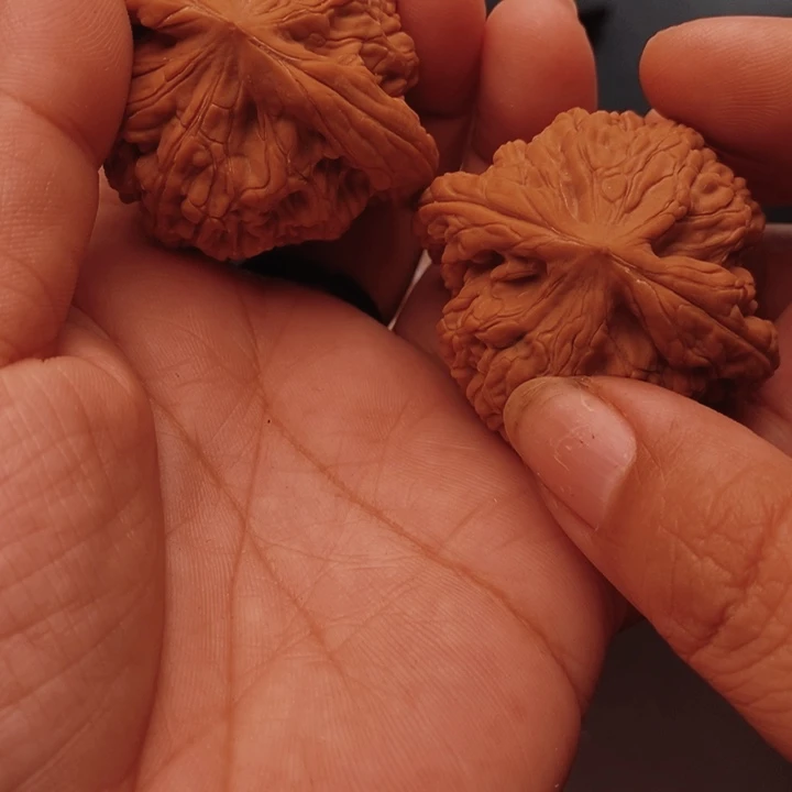核桃虎头王46尺核桃