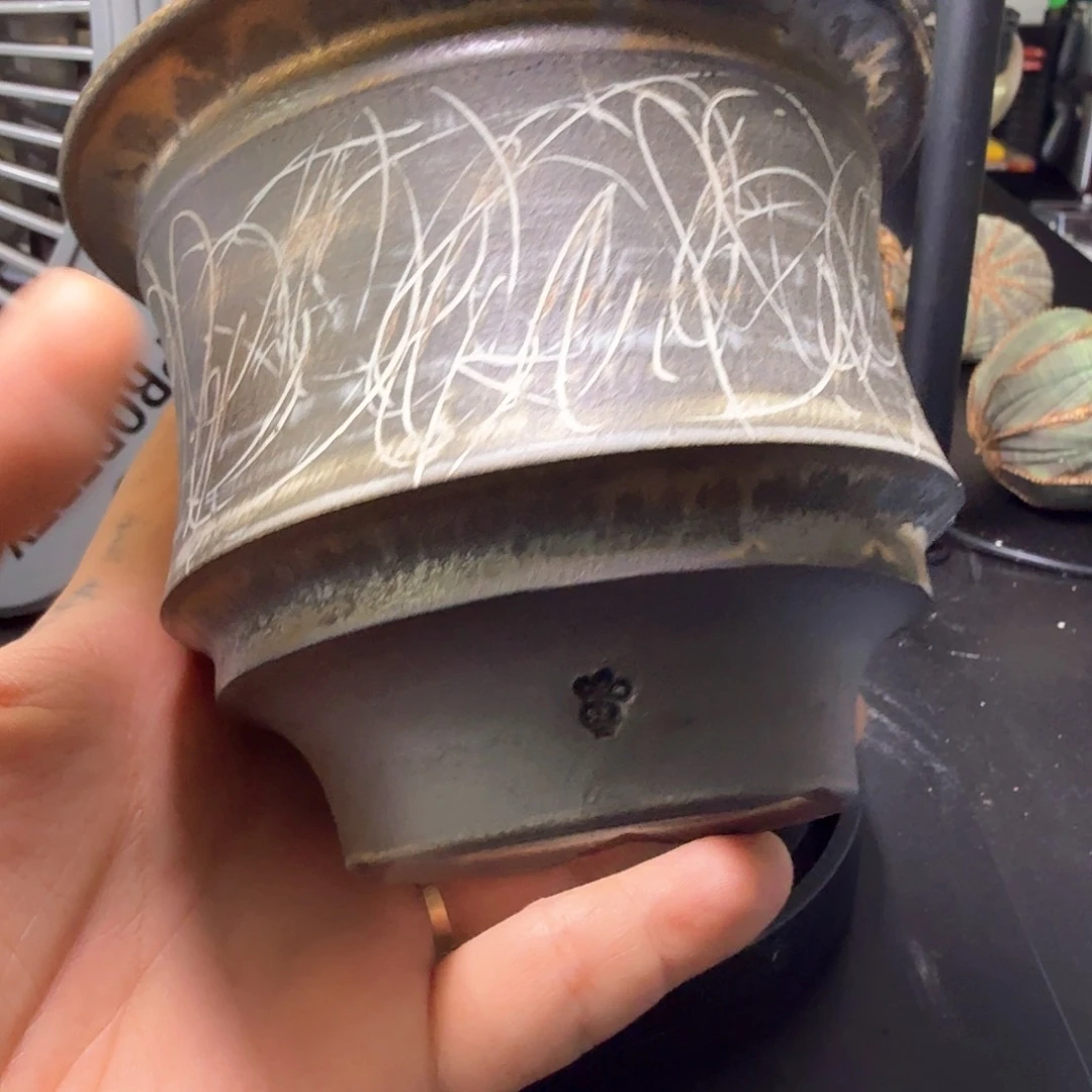 大贯11.5x9.2哈哈哈哈哈哈哈