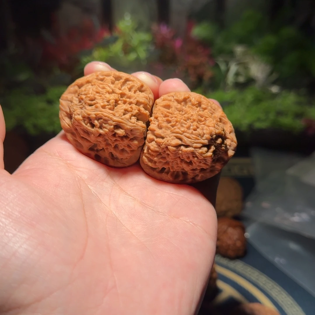 326号41南疆石南疆石南疆石