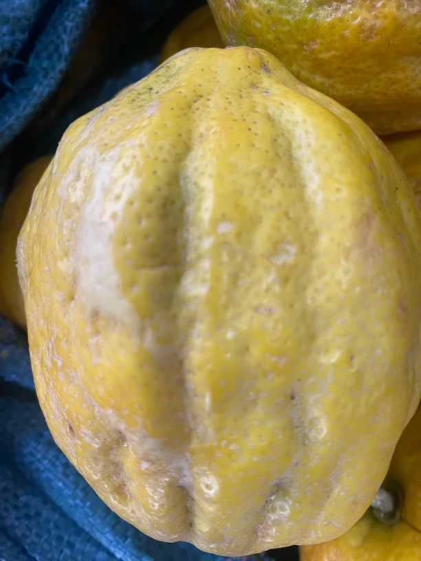 云南高山农家优质香橼