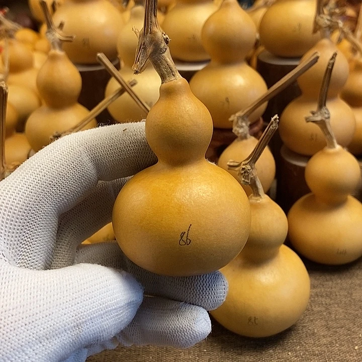 文玩葫芦 完美主义者 慎拍86