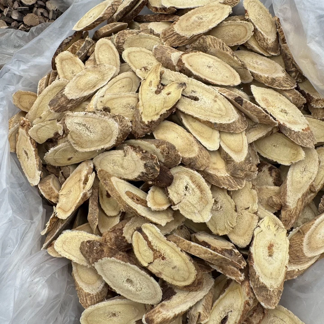 多年生老黄芪主根切片可用于煮水煲汤