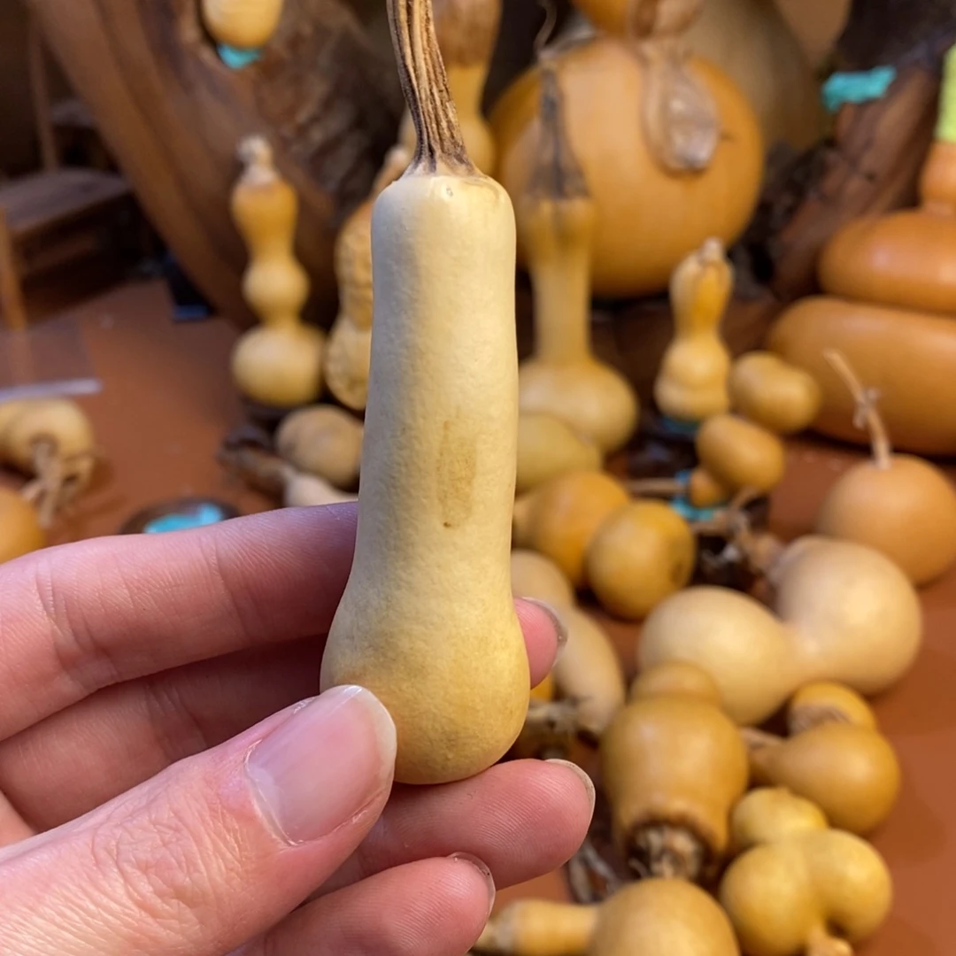 海***天教练教练咯教练经理