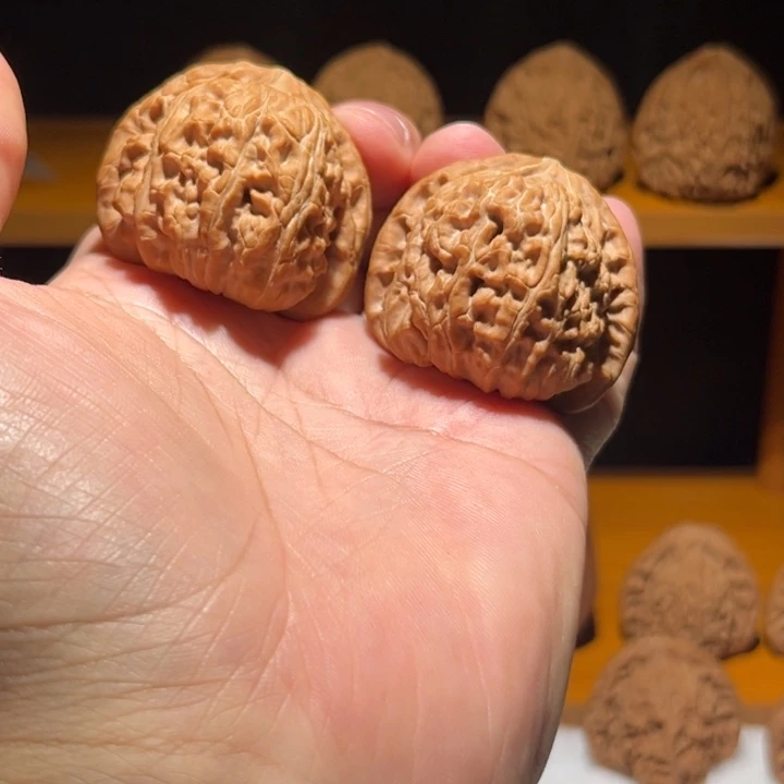 二***g40尺寸三角白狮子