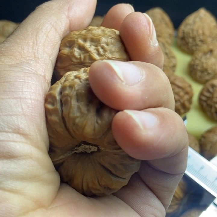 用***1印石昌化石南瓜123466斤半包一