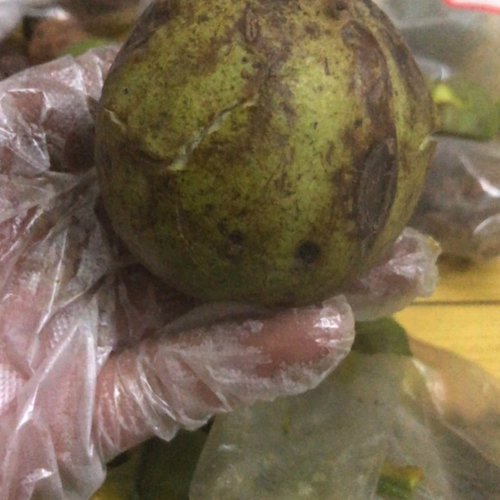 鲜****u文玩核桃一行