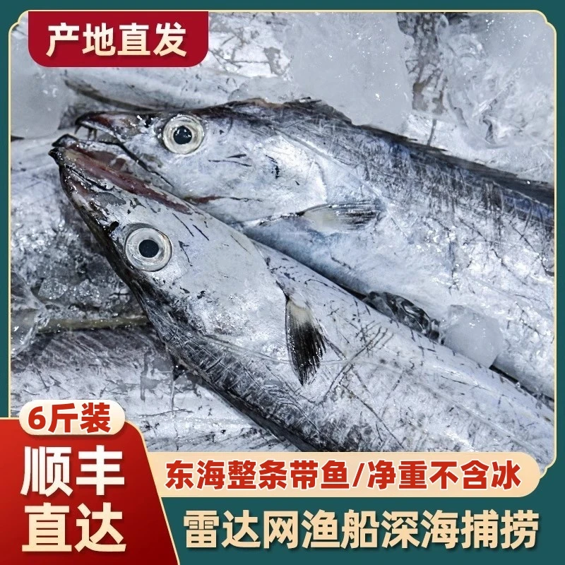 【净重6斤7-9两/条】东海纯野生网捕小眼油带顺丰次日达码头直发海鲜