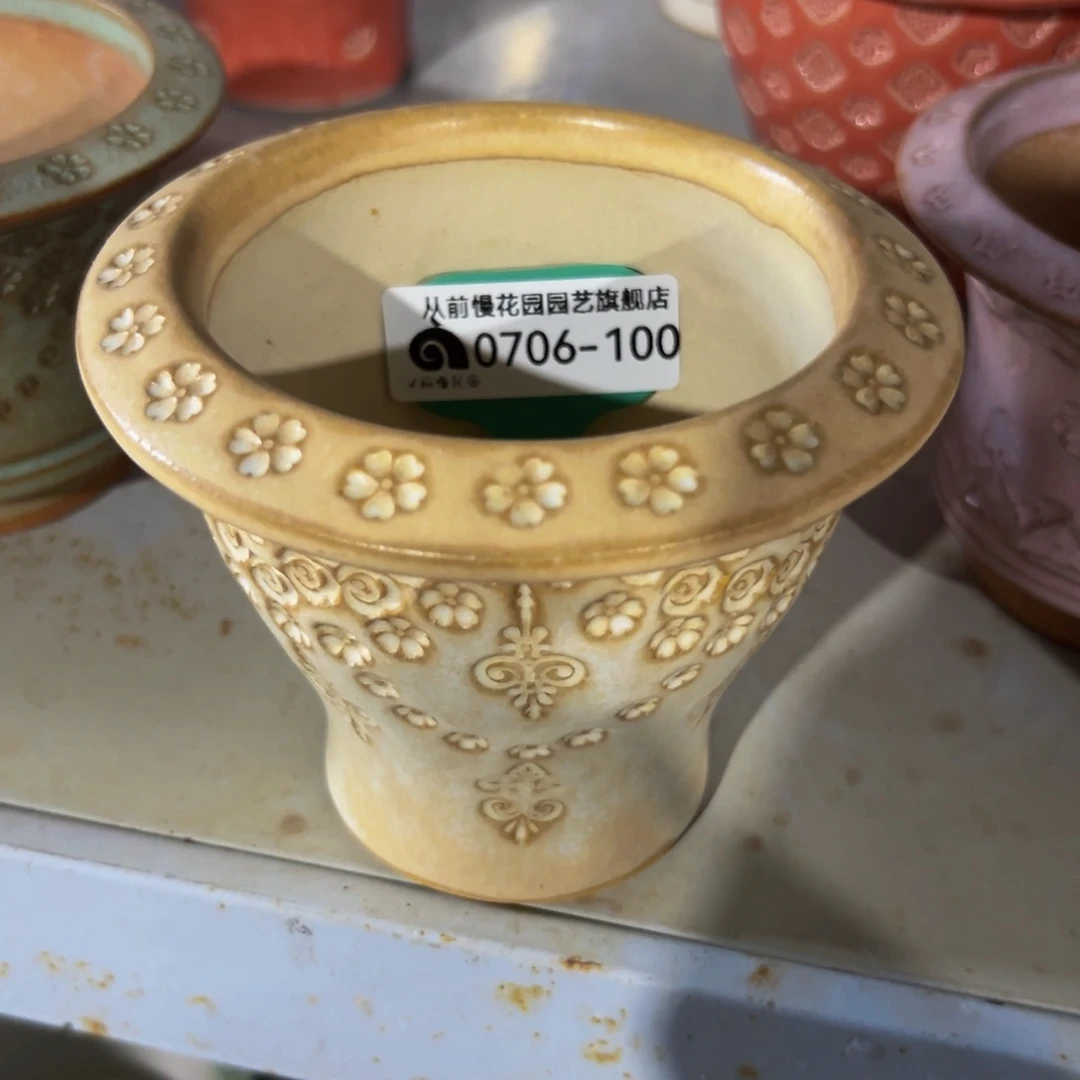 多肉一物一拍0706-100