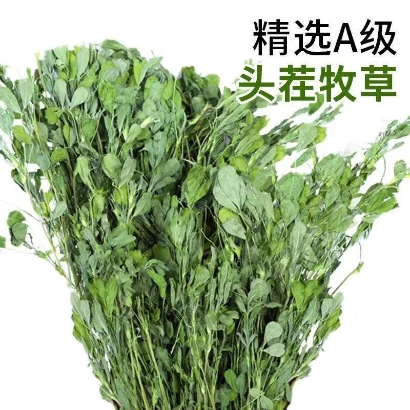 25年新烘干紫花苜蓿草干草饲料兔子龙猫荷兰猪干草粮食牧草幼兔草