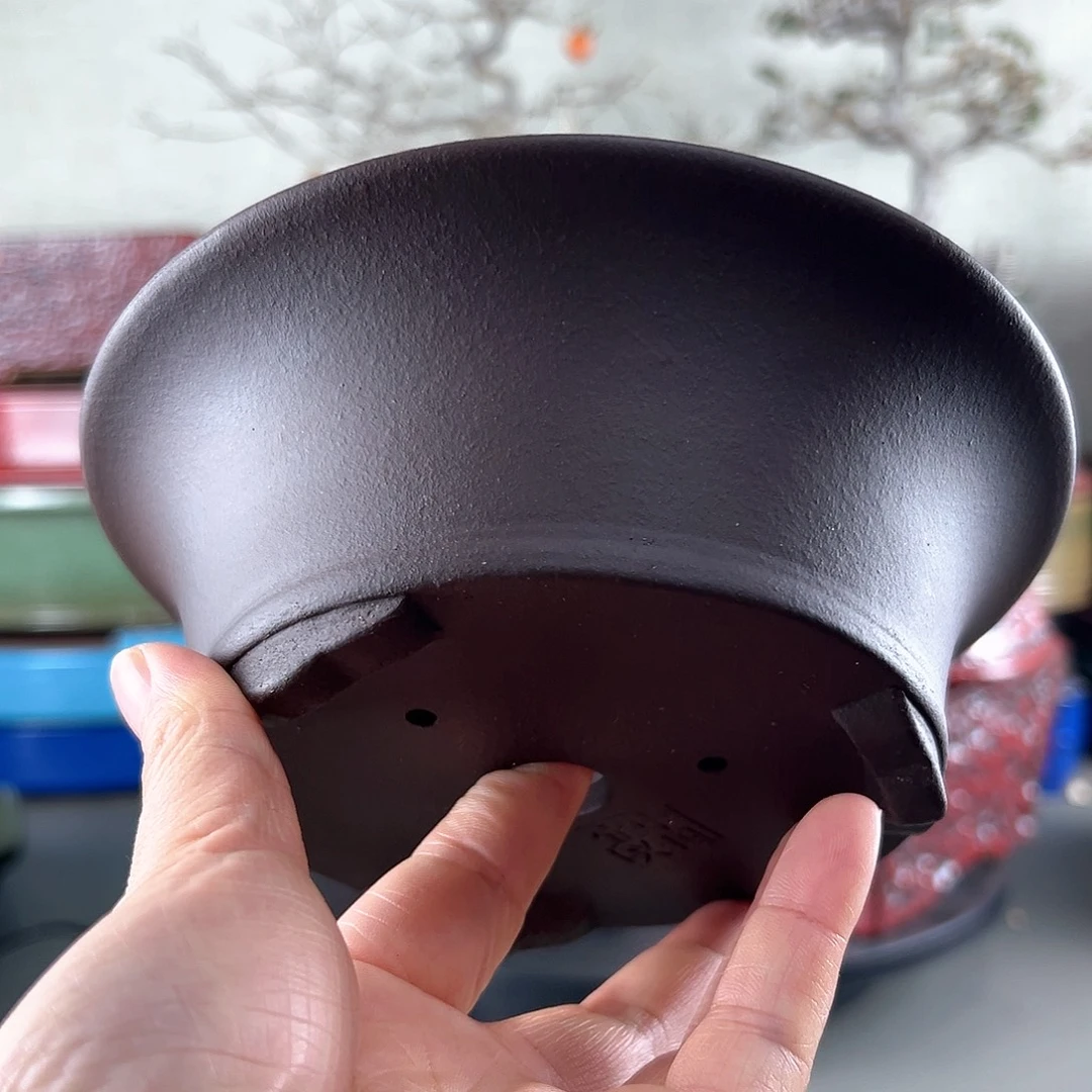 老紫泥盆子一只16.5*6.5