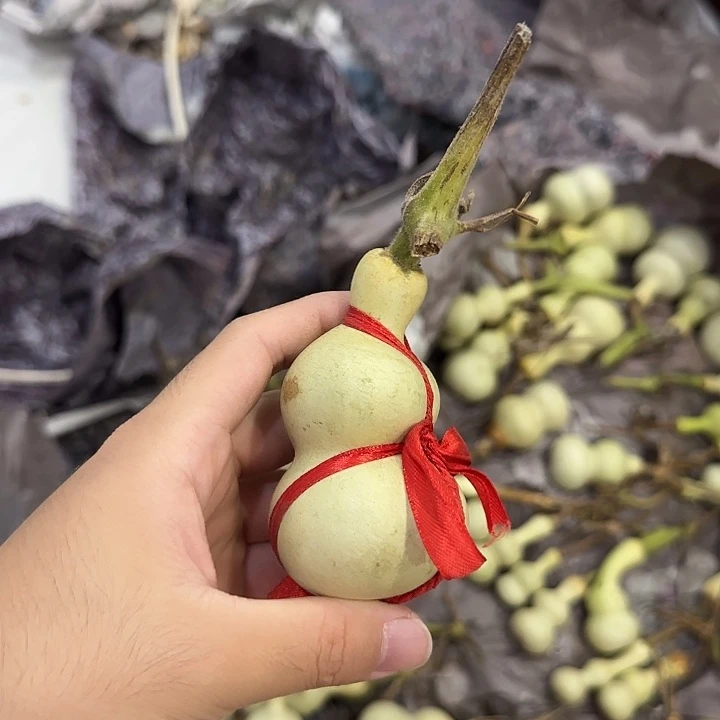 你***好葫芦sjdjdjsjsjsjssjns