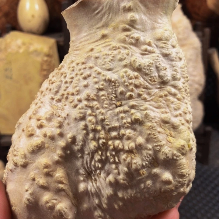 木佛*木料木料木料木料