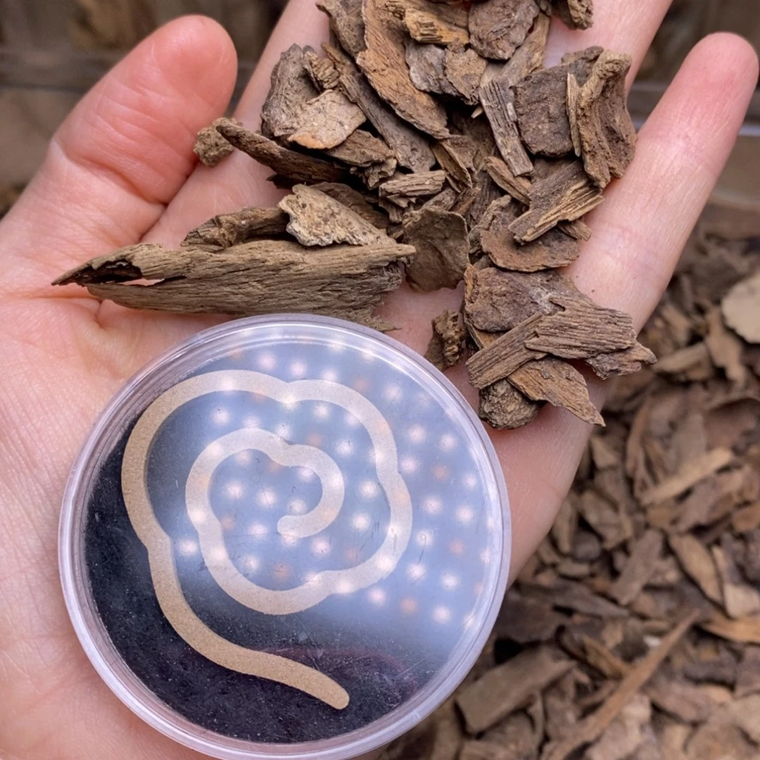 夸***父红土20克。