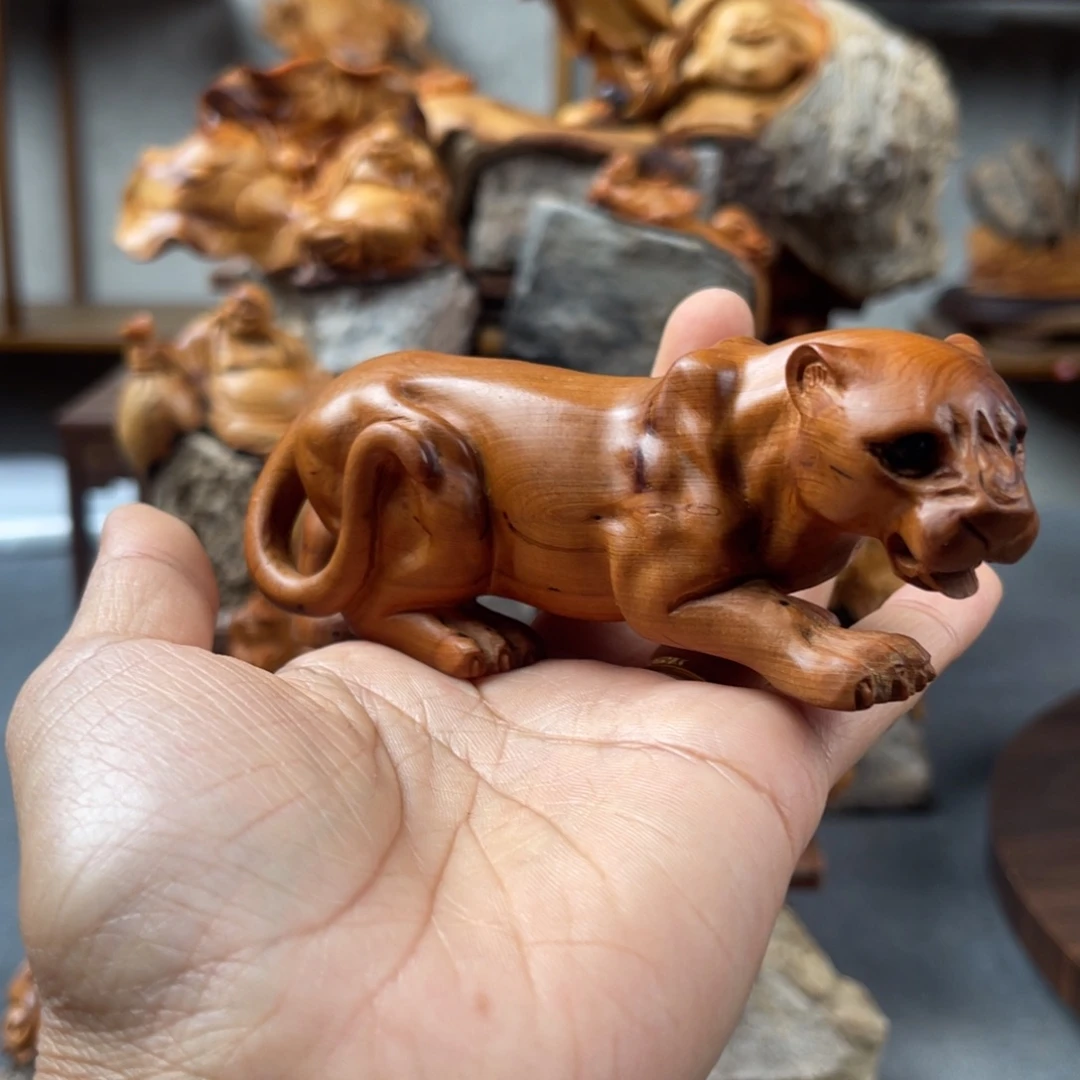 柏木（崖柏）崖柏太行山脉