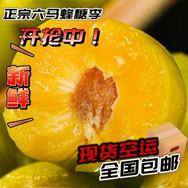 t正宗贵州六马蜂糖李新鲜水果【顺丰/邮政/京东/空运包邮】产地直发