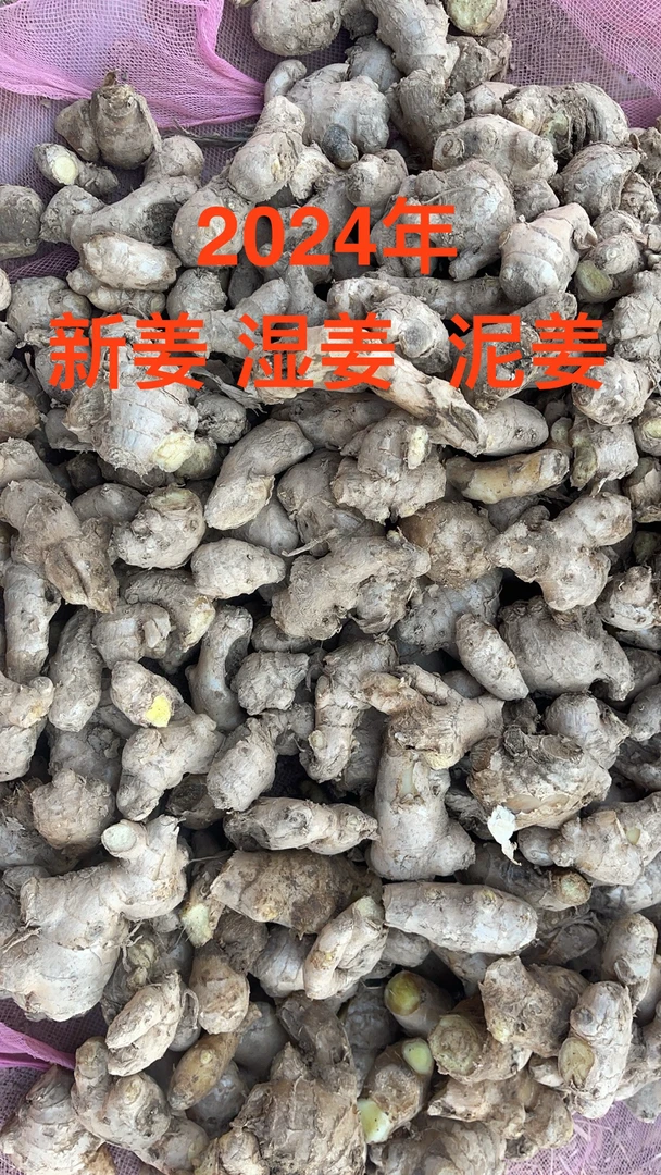 碎姜次品姜2024年新姜（碎姜介意慎拍）